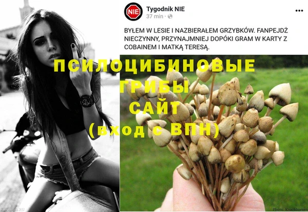 кокаин Алексеевка