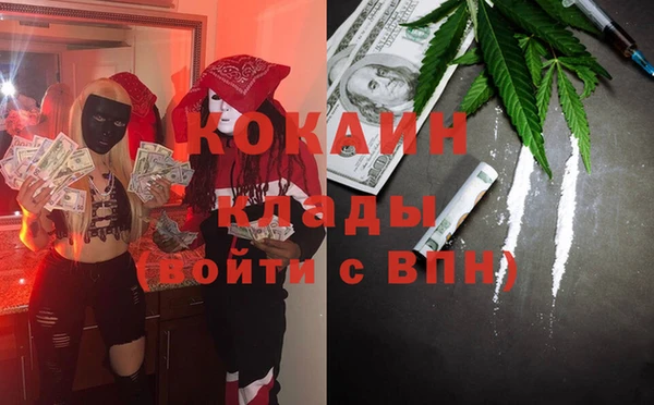хмурый Алексин