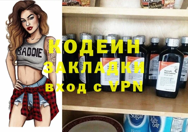 хмурый Алексин
