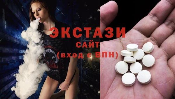 хмурый Алексин