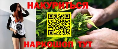 Альфа ПВП Обь