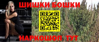 Альфа ПВП Обь