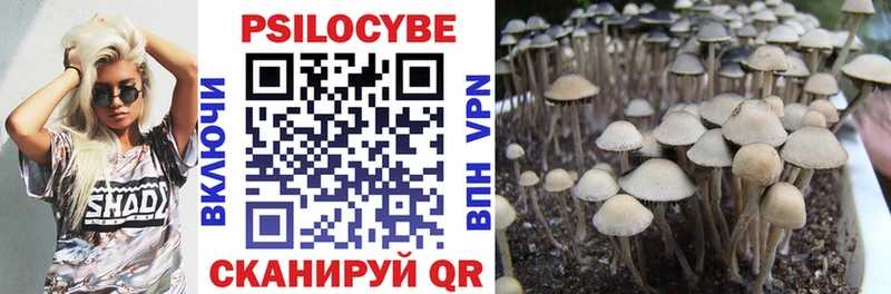 Псилоцибиновые грибы Psilocybine cubensis  Старый Оскол 