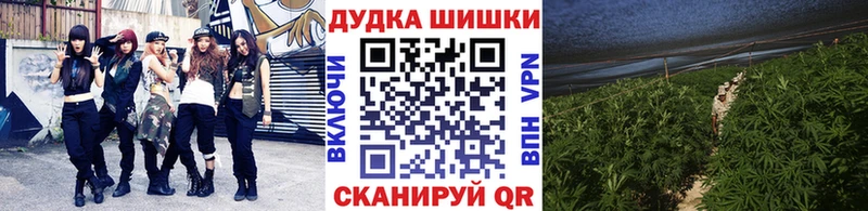 Канабис сатива  купить закладку  darknet формула  Старый Оскол 